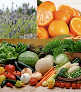 Le tinte naturali di Maekò sono ottenute solo da fiori, frutta e verdura
