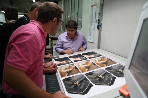 La qualità di stampa è ottimale dopo i primi fogli macchina