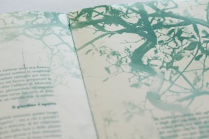 Alessandra Angelini_Il Giardino è aperto_libro d'artista_2015 © Andrea Artoni (5)