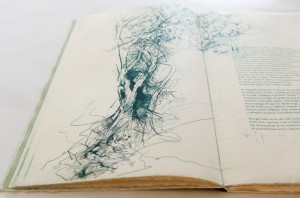 Alessandra Angelini Il Giardino è aperto libro d'artista 2015