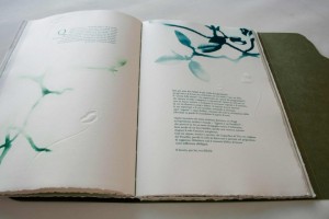A. Angelini Il Giardino è aperto, libro d'artista, 2015