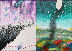 opera di Carlo Iacomucci