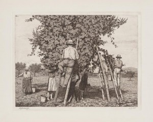 acquaforte di Giuseppe Mainini