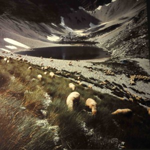 foto di Sandro Polzinetti