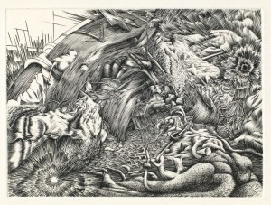 Raetz- Due Poli, bulino, 1994-2014