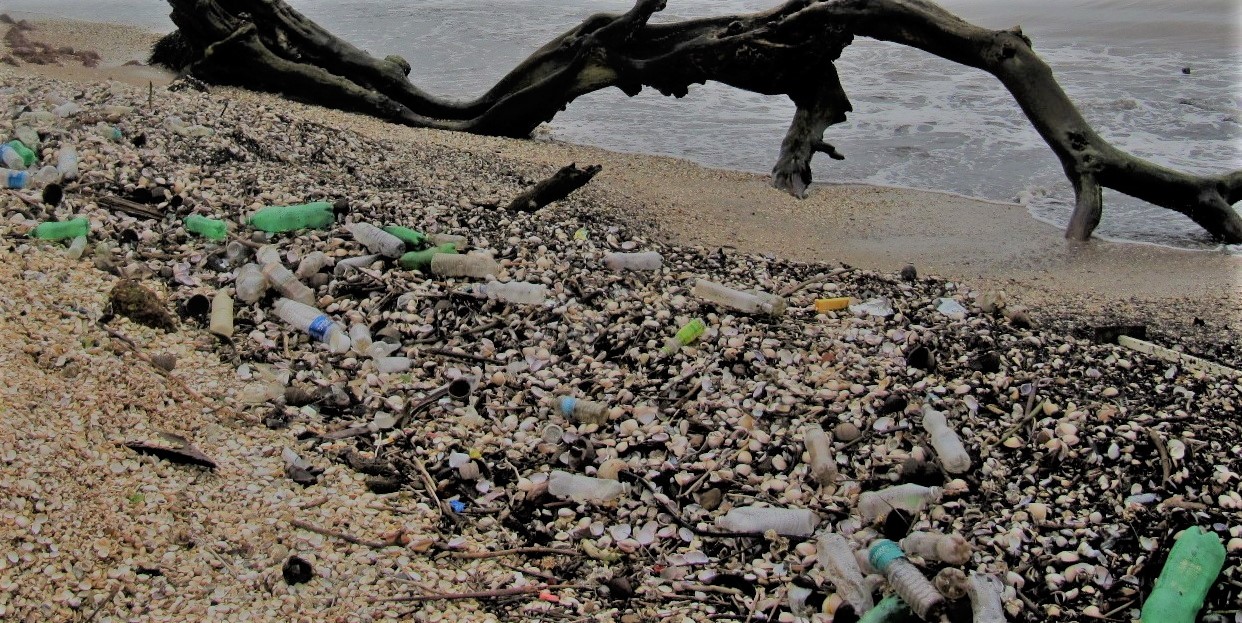 Italia esempio nella lotta ai rifiuti di plastica