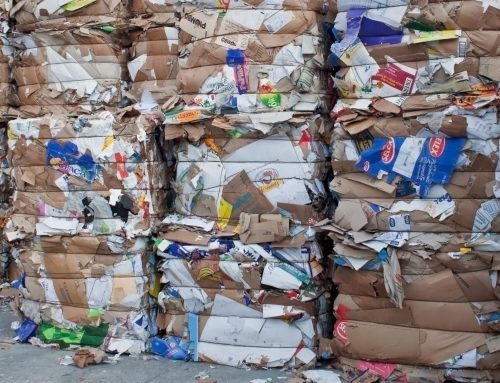 Se si ferma la carta si ferma una filiera