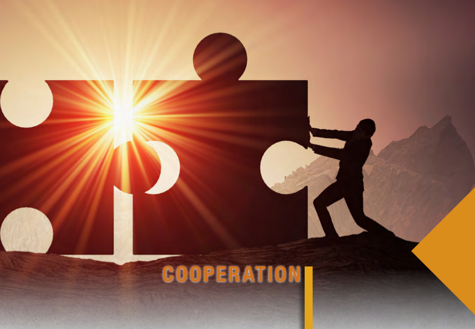 Decosystem Cooperation