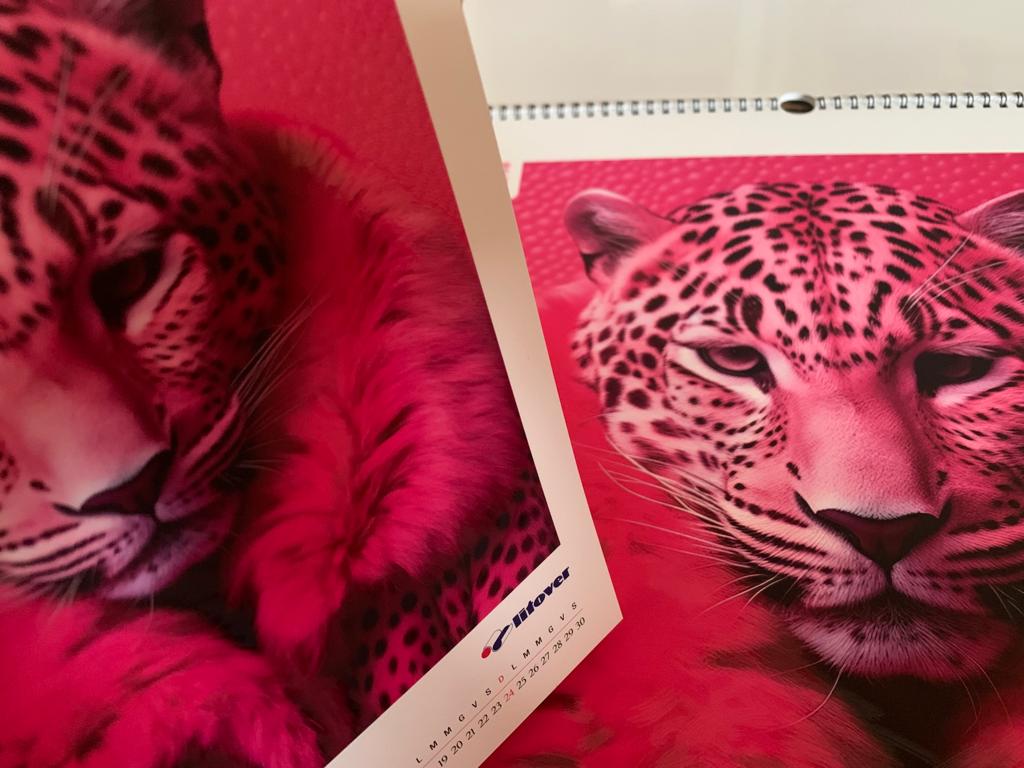 Le nuove tendenze di nobilitazione stampata