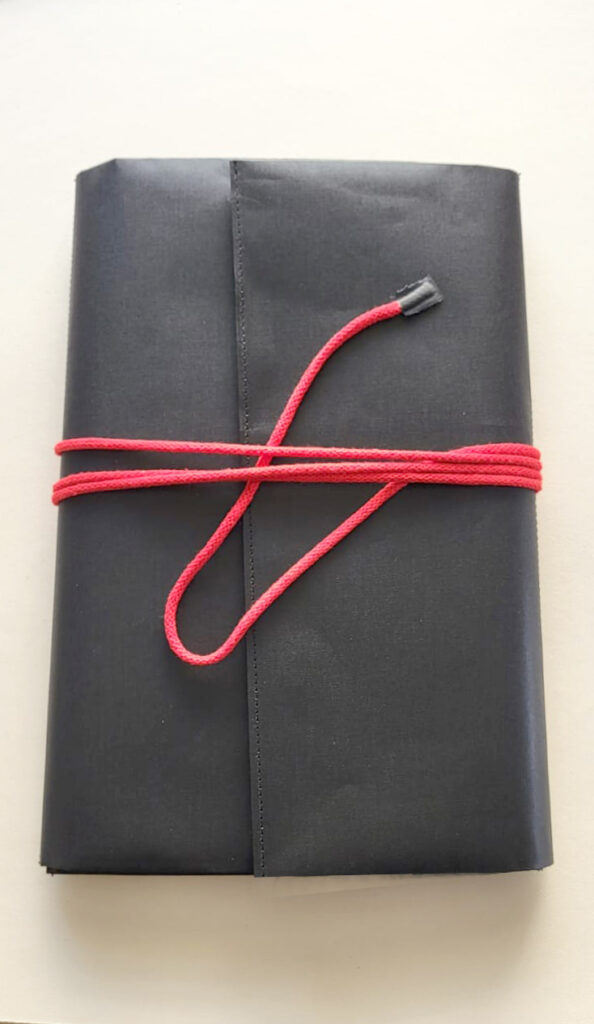 libro da bisaccia Calvino