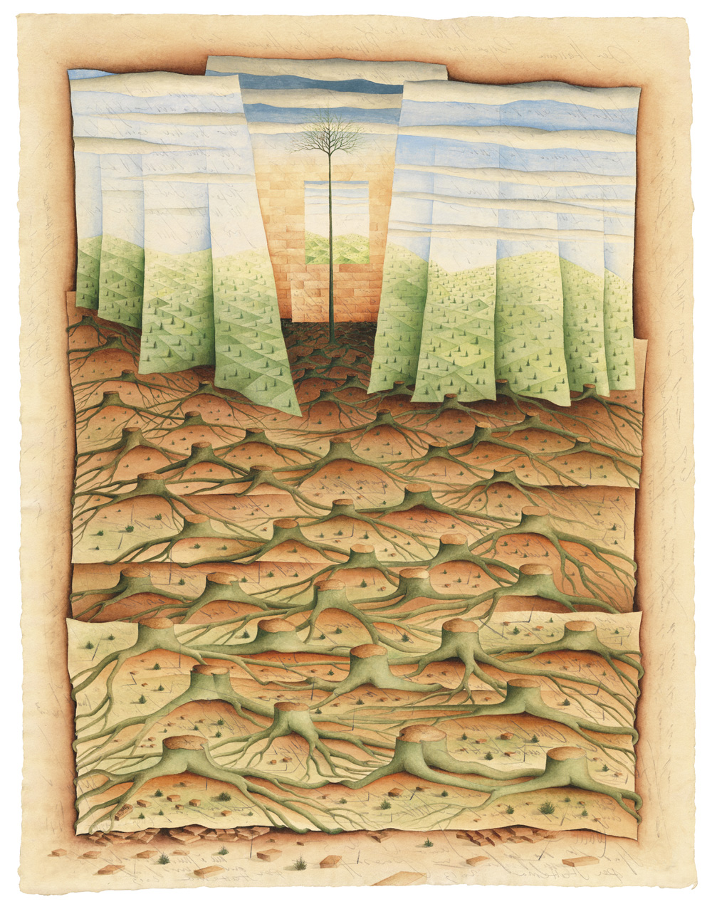 Tarasco Sogni Rigenerazione