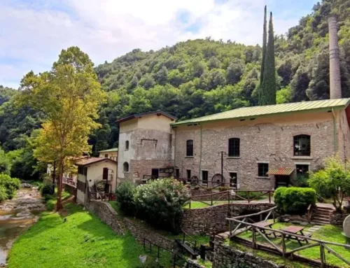 Un museo della carta tra storia e innovazione