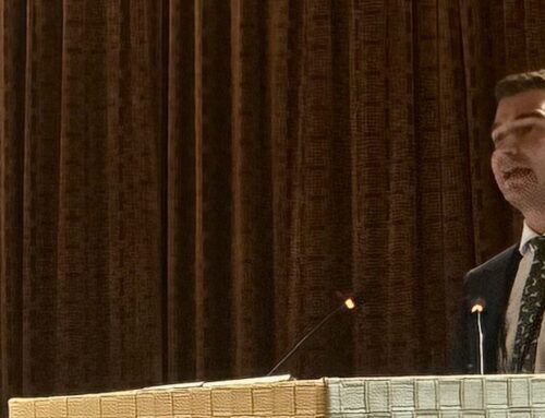 l’Italia è la “terra promessa” del cartone